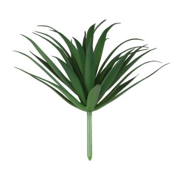 FALOŠNÝ KVET, PICK, VEĽKÝ MEČ TRÁVA, ZELENÁ