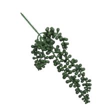 UMELÝ KVET, ZELENÁ, HRACHOVÁ PERLA, PROSO