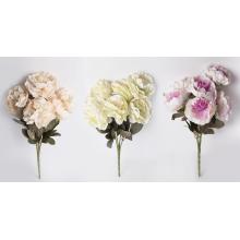 UMELÉ KVETY RANUNCULUS, 6 HLÁV KVETOV