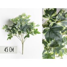 BEŽEC AHIPA, 7 VETIEV, 50 LISTOV, ZELENÁ