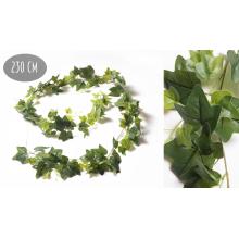 VENIEC, DIVOKÝ BREČTAN, 144 LISTOV, ZELENÝ