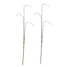 UMELÁ RASTLINA TRSTINA - SHUI WEI ZHU