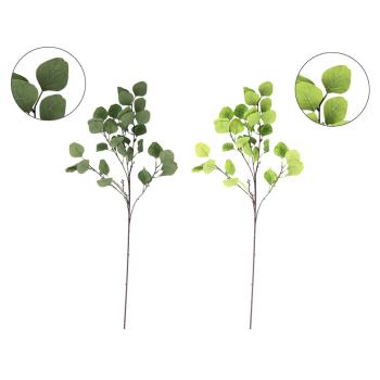 DEKOR VETVA EUKALYPTU, ZELENÁ