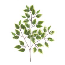 VETVA STROMU FIKUS 3 VETVY 42 LISTOV