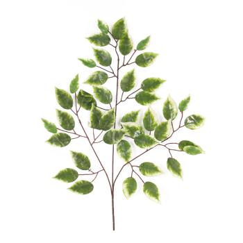 VETVA STROMU FIKUS 3 VETVY 42 LISTOV