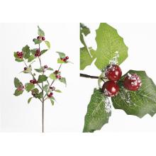 BOBUĽA, S LISTOM, ČERVENO-ZELENÁ