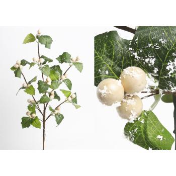 BOBUĽA, LIST, KRÉMOVO ZELENÁ