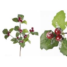 BOBUĽA, S LISTOM, ČERVENO-ZELENÁ