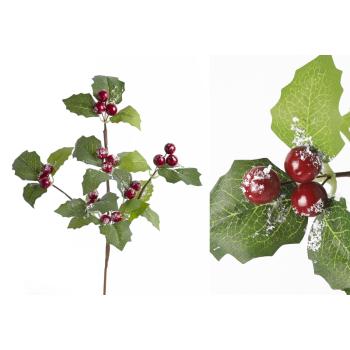 BOBUĽA, S LISTOM, ČERVENO-ZELENÁ