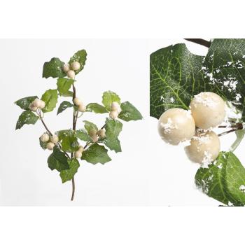 BOBUĽA, LIST, KRÉMOVO ZELENÁ