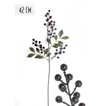 VETVA BOBULE, ČUČORIEDKY