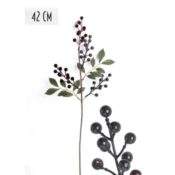 VETVA BOBULE, ČUČORIEDKY