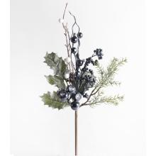 ZBIERAŤ ILEX, S BOBUĽAMI, ČIERNYMI A BIELYMI