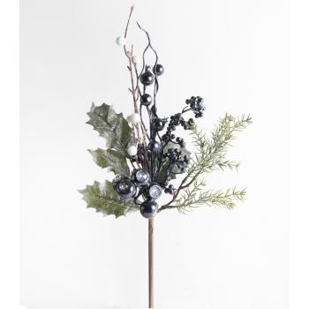 ZBIERAŤ ILEX, S BOBUĽAMI, ČIERNYMI A BIELYMI