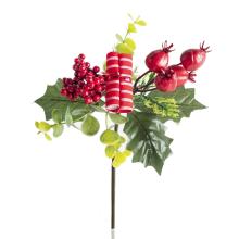 ZBER, ROLKA, ČERVENÉ BOBULE