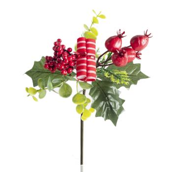 ZBER, ROLKA, ČERVENÉ BOBULE