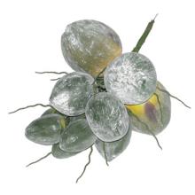 UMELÁ RASTLINA KOKOSOVÝ ORECH