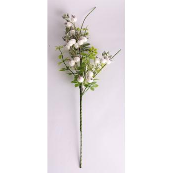 UMELÝ KVET BOBUĽA, PERLEŤOVO BIELY