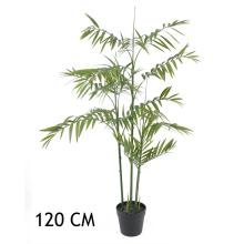 BAMBUSOVÁ PALMA, DLAŽDICE, ZELENÁ