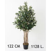 OLIVOVNÍK, 1128 LISTOV, 4 KMENE