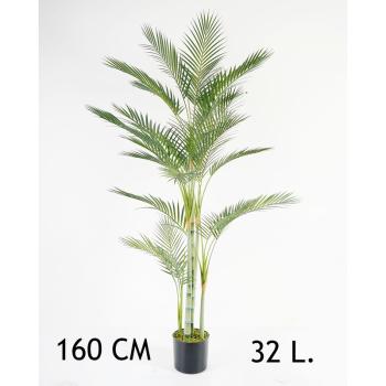 ZLATÁ PALMA, 32 LISTOV, 4 STONKY