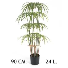 PALMA PAPYRUS 24 LISTOV 90CM