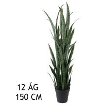 JAZYK ZELENÝ 12 VETIEV 150CM