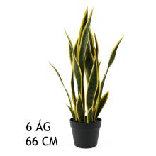 JAZYK, S DLAŽDICOU, ZELENOŽLTÝ, 6 LISTOV