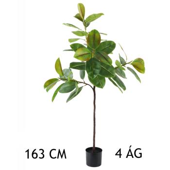 FICUS STROM 4 VETVY ZELENÁ 163CM