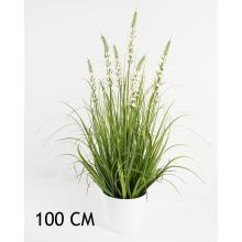 ZVONČEKOVÝ KER, S KRÍKOM, 7 VETIEV,