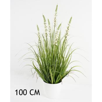 ZVONČEKOVÝ KER, S KRÍKOM, 7 VETIEV,