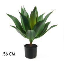 AGÁVE ZELENÁ 56CM