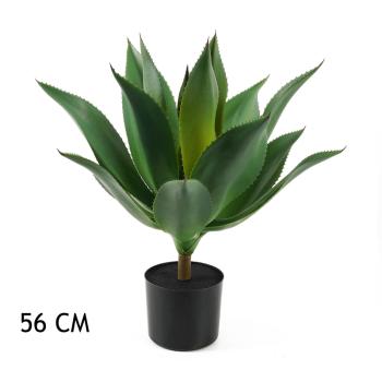 AGÁVE ZELENÁ 56CM