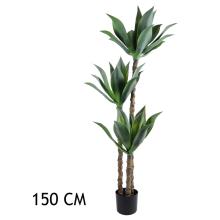 AGÁVE, DLAŽDICE, 3 KMENE, ZELENÁ