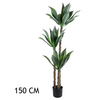 AGÁVE, DLAŽDICE, 3 KMENE, ZELENÁ