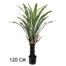 VOŇAVÝ DRAČÍ STROM 120CM