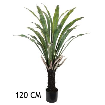 VOŇAVÝ DRAČÍ STROM 120CM