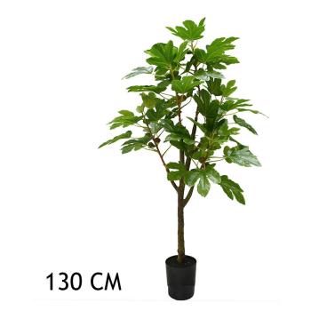 FIGOVNÍK, DLAŽDICOVÝ, ZELENÝ