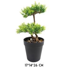 BONSAJOVÝ STROM, DLAŽDICOVÝ, ZELENÝ