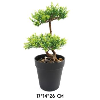 BONSAJOVÝ STROM, DLAŽDICOVÝ, ZELENÝ