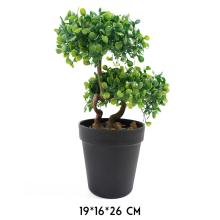 BONSAJOVÝ STROM, DLAŽDICOVÝ, ZELENÝ