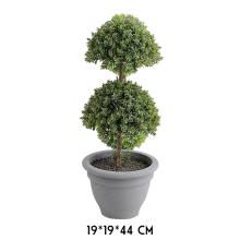 BONSAJOVÝ STROM, DLAŽDICE, BYLINNÝ, ZELENÝ