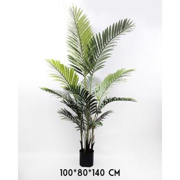 PALMA, ZELENÁ, S 15 LISTAMI