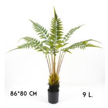 PAPRADIE, DLAŽDICE, 9 LISTOV, ZELENÉ