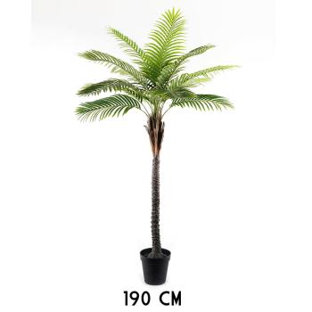 PALMA, DLAŽDICE, ZELENÁ