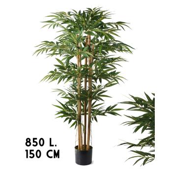 BAMBUSOVÝ STROM, OPÁLENÝ, 6 KMEŇOV, 850 LISTOV, ZELENÝ