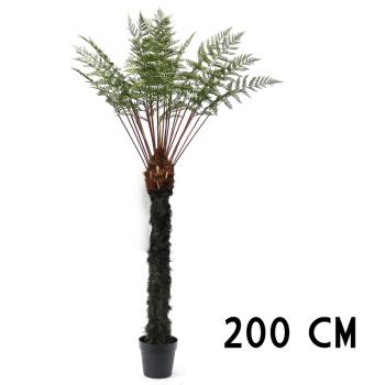 PAPRAĎOVÉ DREVO, OBKLAD, ZELENÁ,