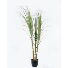 CUKROVÁ TRSTINA, S TRIESLOVINAMI, 3 STONKY, ZELENÁ