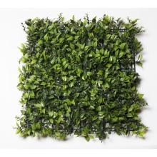 KOCKA CITRUSOVÝCH LISTOV, ZELENÁ, UV STÁLA