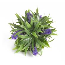 LEVANDUĽOVÁ GUĽA UV STOJACA 16CM